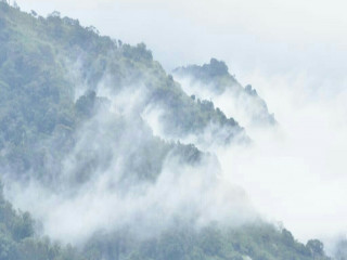 Mankulam Tourism